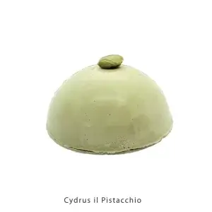AnyConv.com__Cydrus il Pistacchio